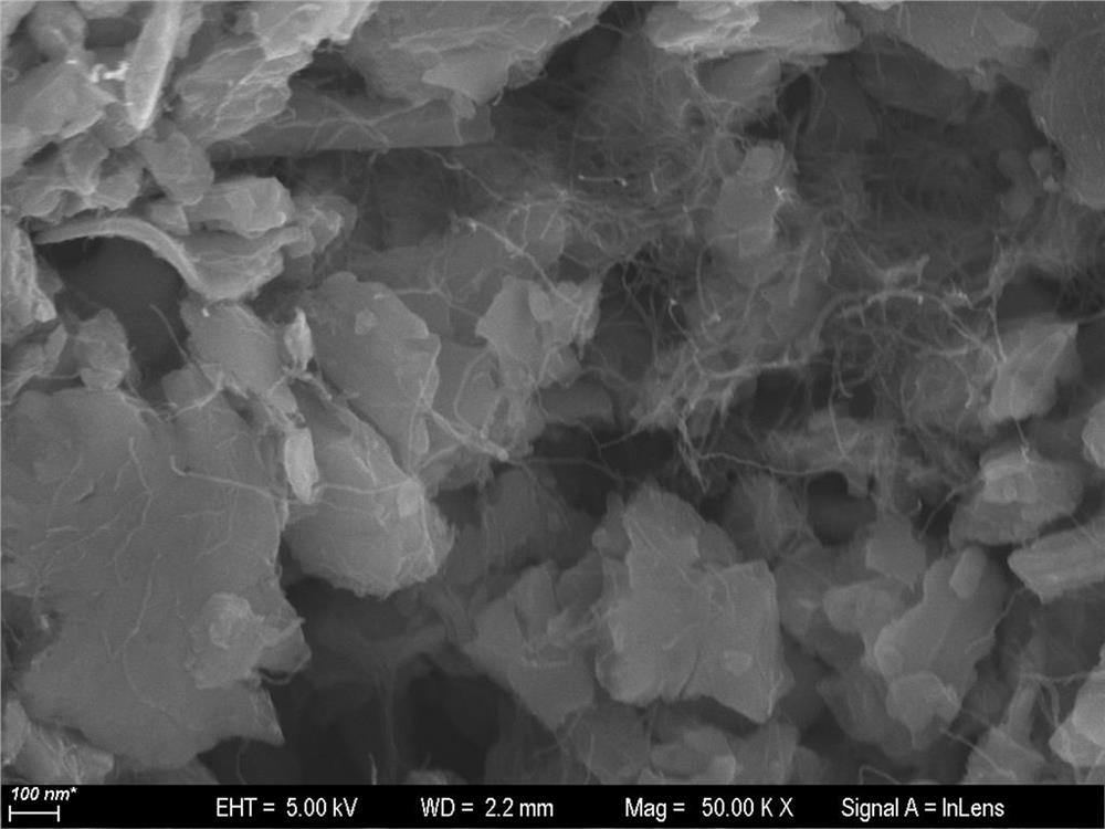 Method for preparing silicon negative electrode material coated with vapor-deposited carbon nanotubes