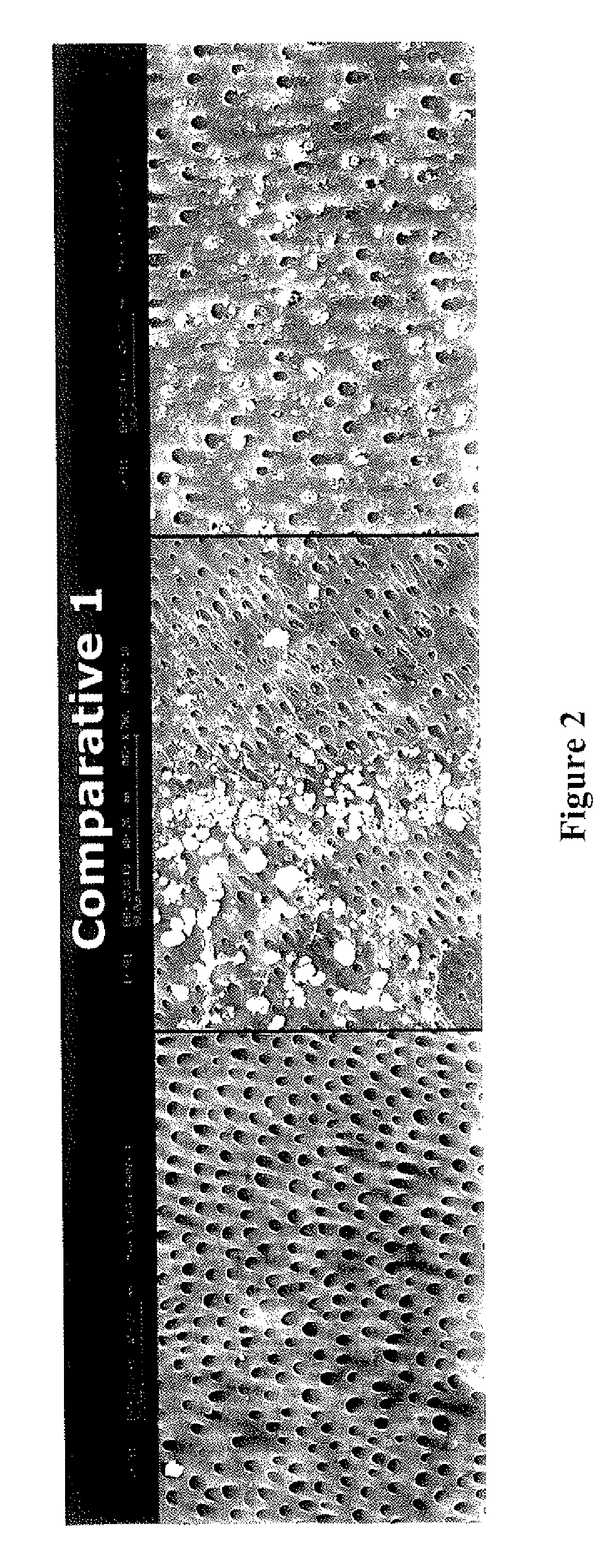 Tubule-blocking silica materials for dentifrices