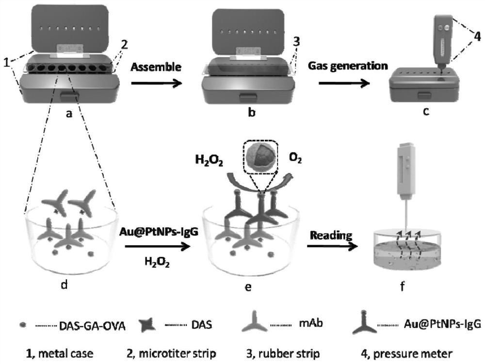 Fusarium diacetate competitive barometric pressure immunosensor and detection method