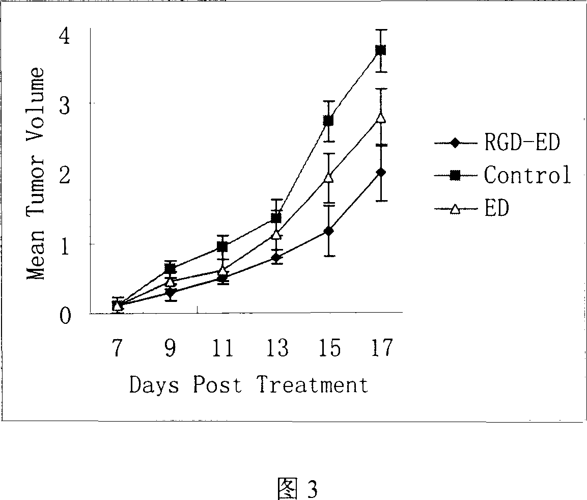 Peptide for high performance inhibition of angiogenesis and method for preparing same and use thereof