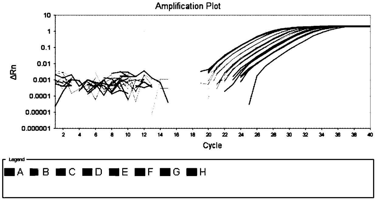 Rapid qualitative and quantitative detection kit, detection method and application of Lactobacillus acidophilus added in feed