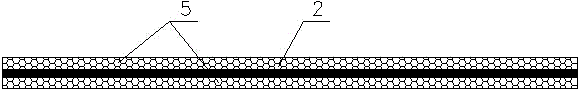 Anti-static foamed blown film and forming method