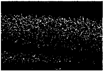 Composite cobalt-vanadium nitride nanowire electrocatalyst as well as preparation method and application thereof