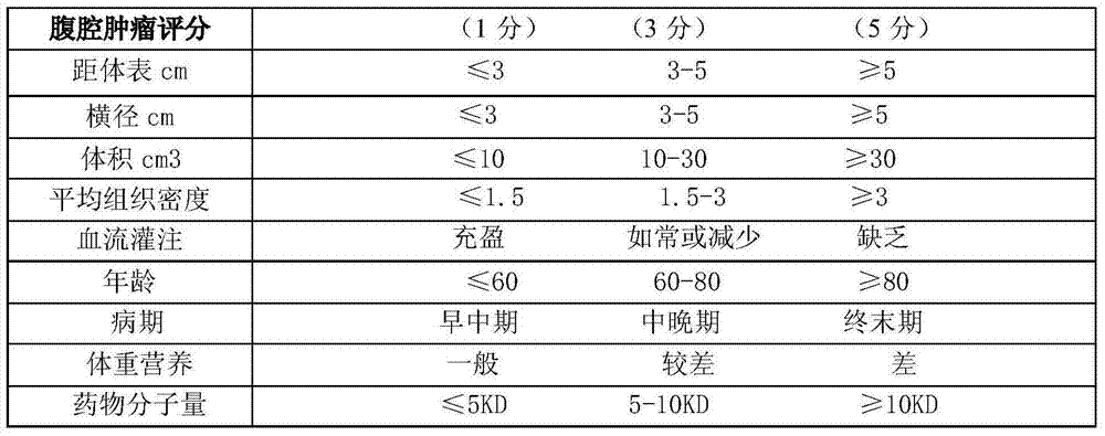 Intelligent ultrasonic diagnosis and treating instrument and application method of intelligent ultrasonic diagnosis and treating instrument