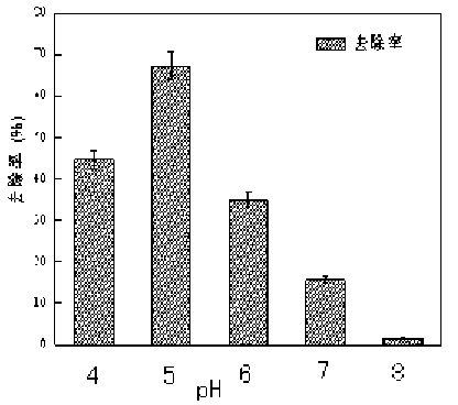 High-efficiency bioflocculant producing bacterium, screening method thereof and application of high-efficiency bioflocculant producing bacterium in treatment of sulfamethoxazole