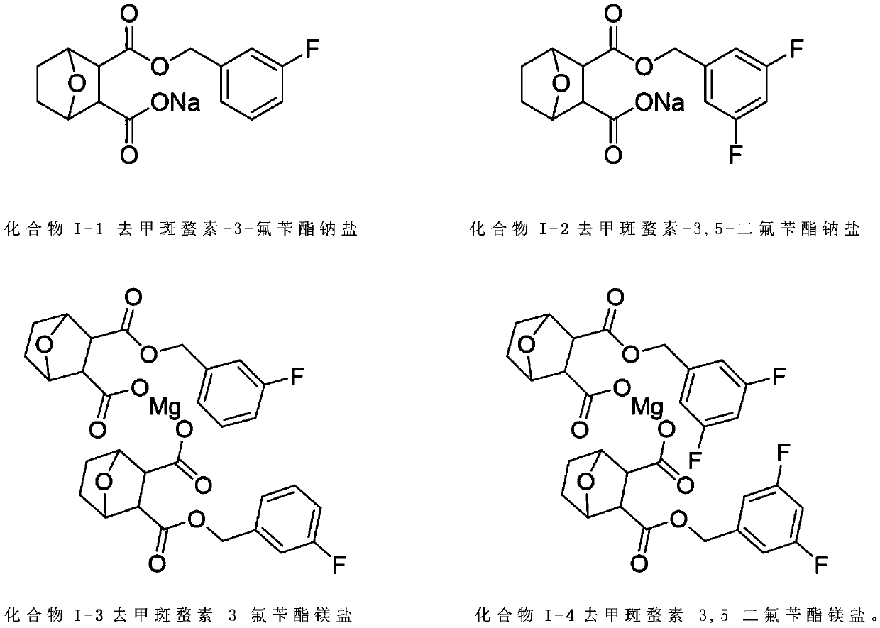 Norcantharidin fluorine-containing benzyl ester salt derivative as well as synthesis method and anti-tumor application thereof