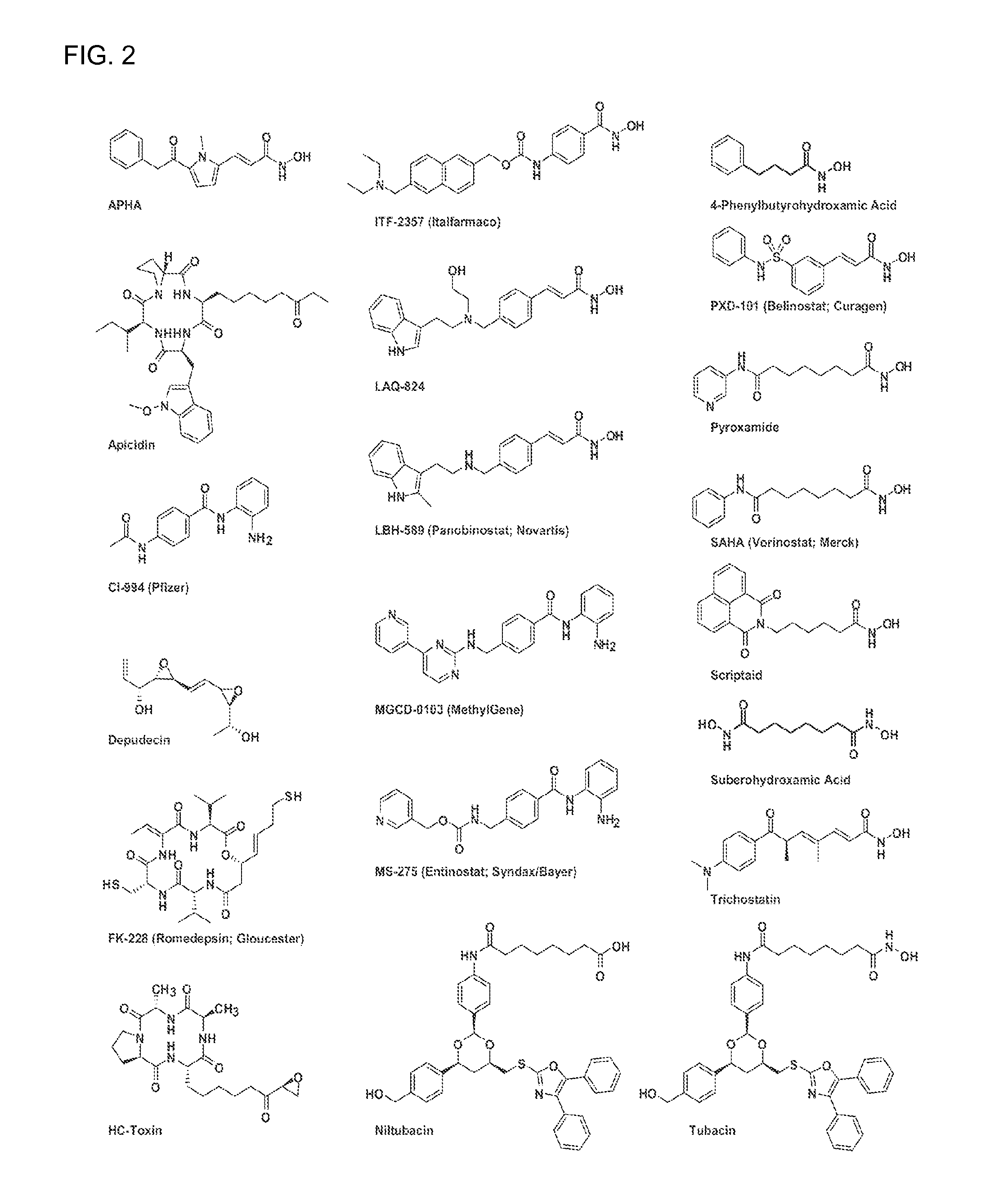 Class- and isoform-specific HDAC inhibitors and uses thereof