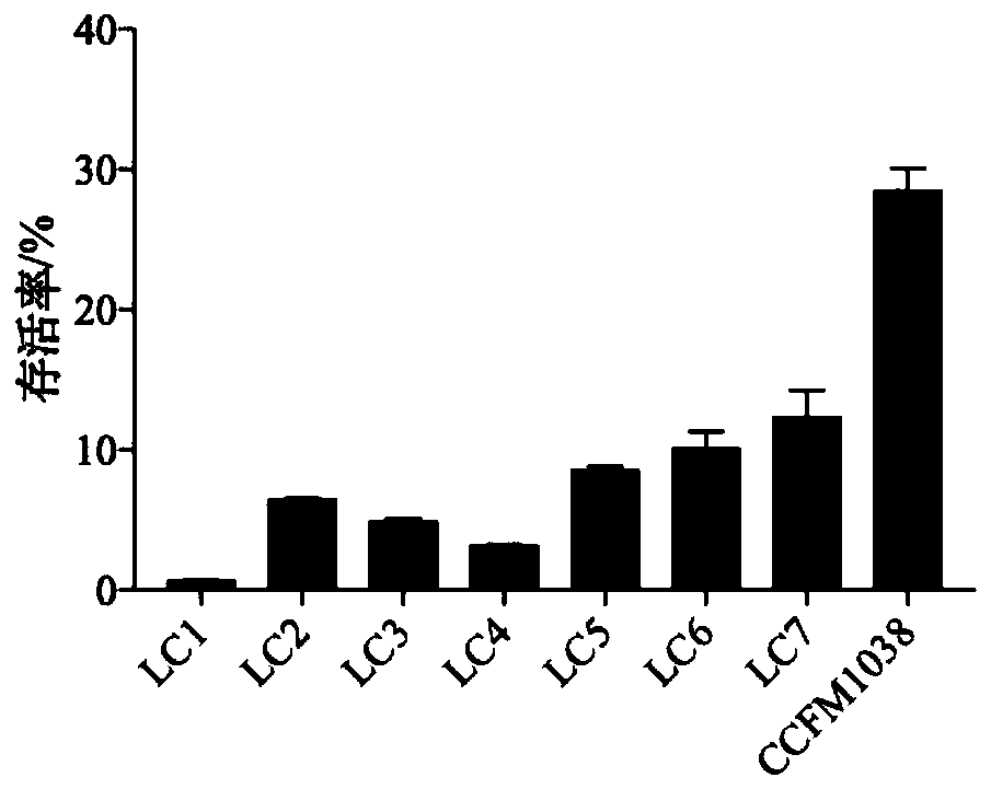 Lactobacillus casei capable of improving intestinal health and application thereof