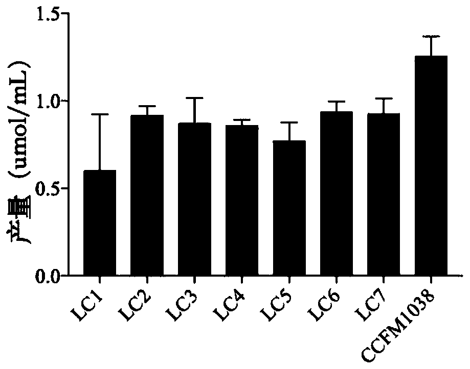 Lactobacillus casei capable of improving intestinal health and application thereof