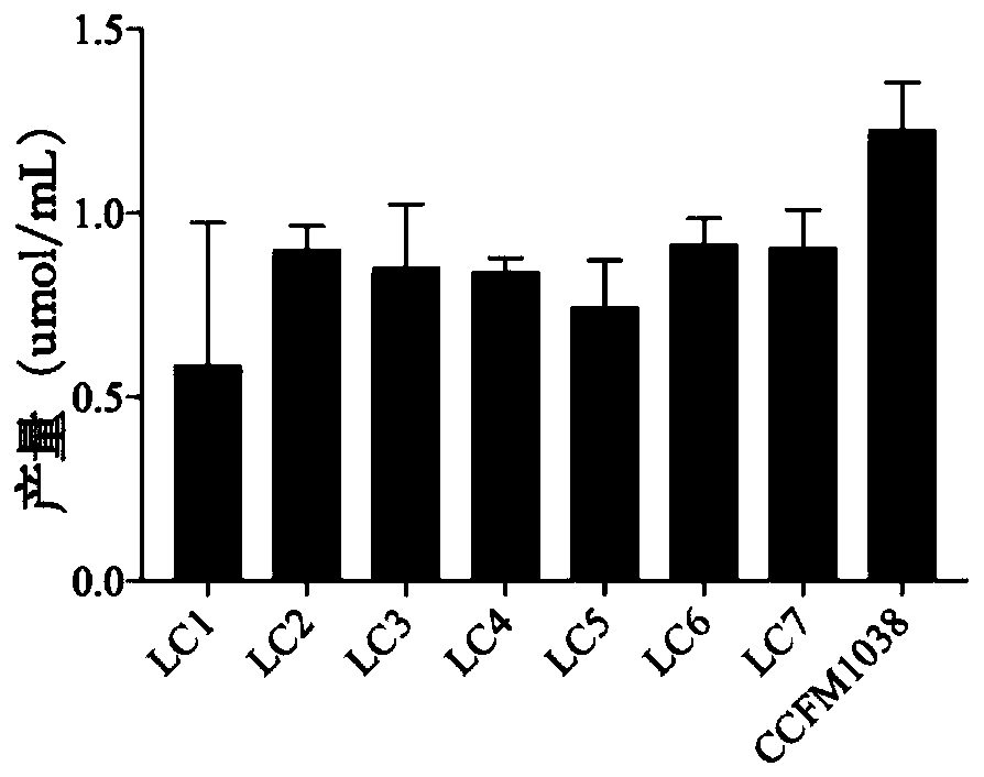 Lactobacillus casei capable of improving intestinal health and application thereof