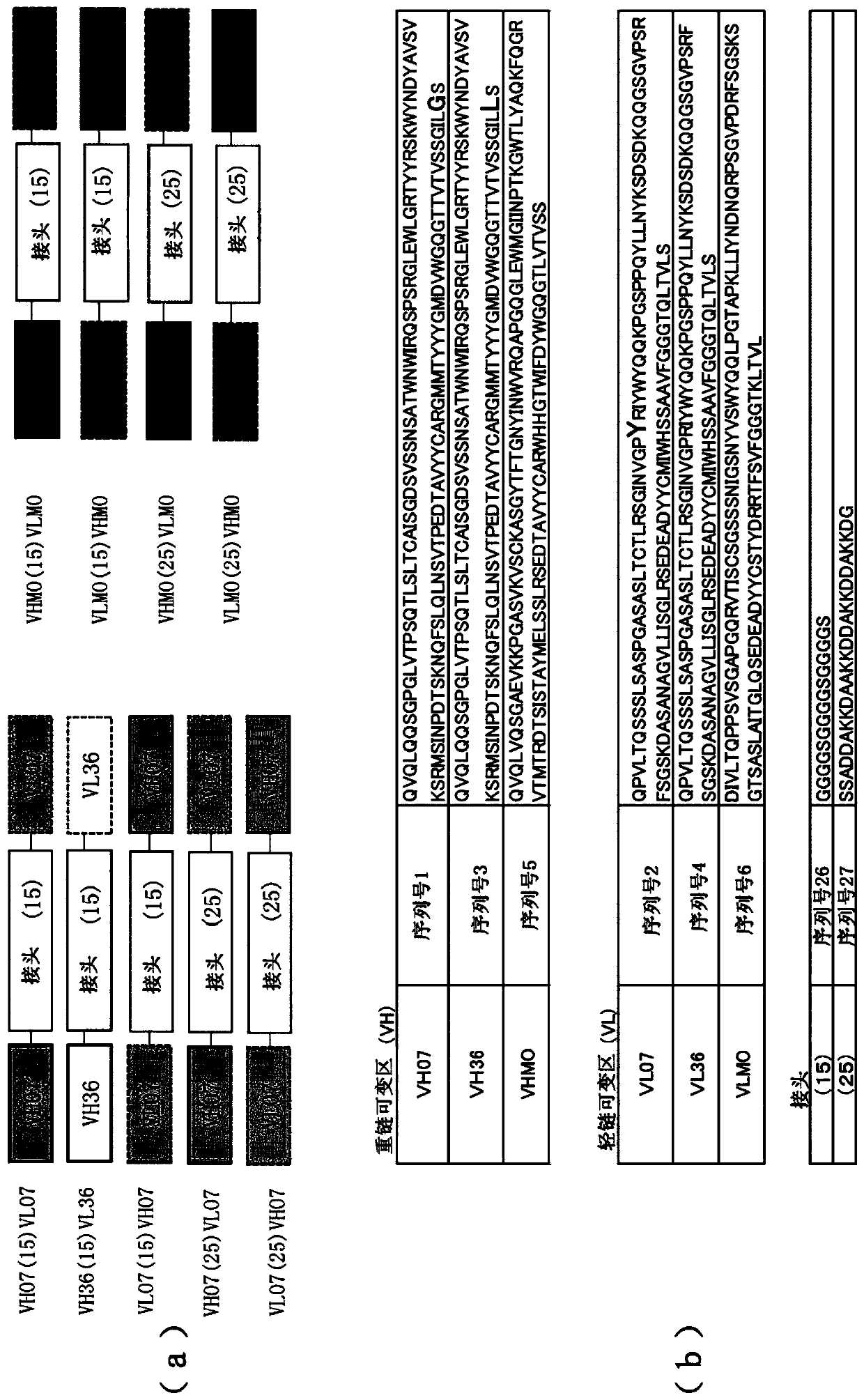 Immunocompetent cell that expresses a cell surface molecule specifically recognizing human mesothelin, il-7 and ccl19