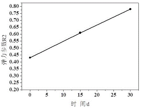 Preparation method of enzymolytic rice protein with telomerase protection function