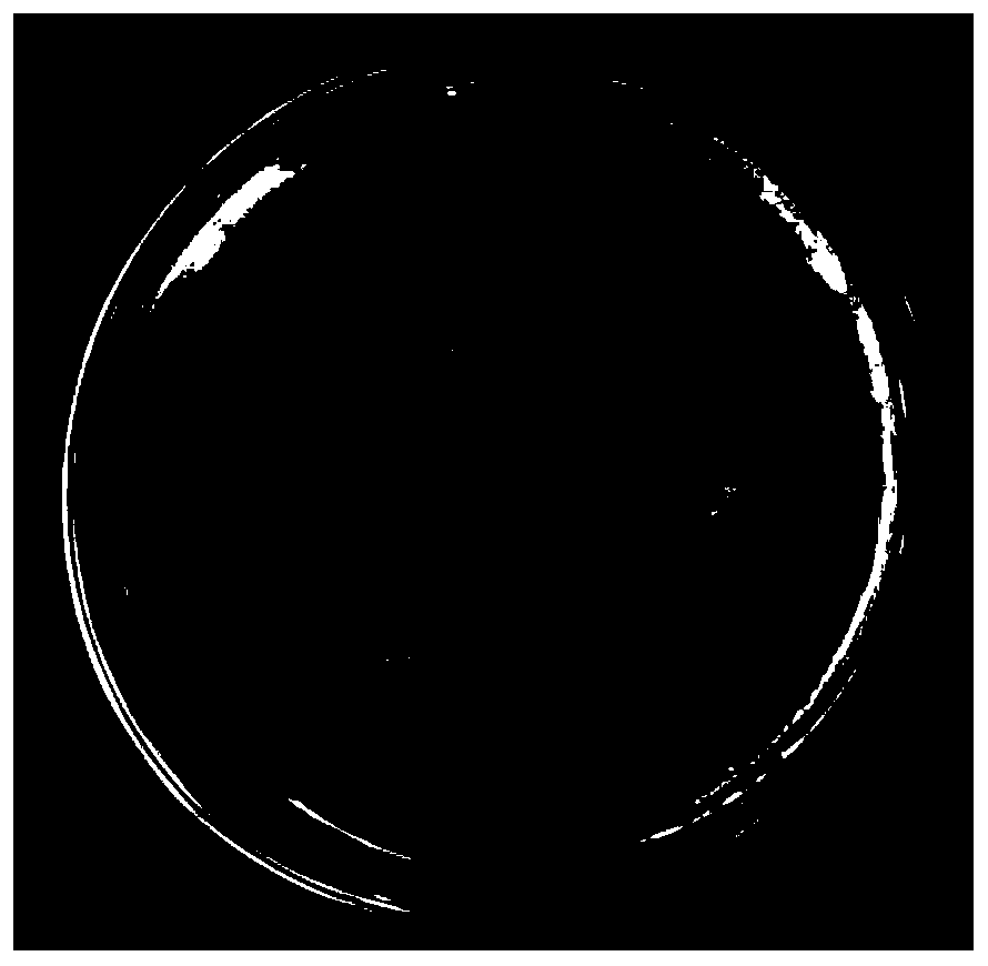 Phosphate solubilizing bacterium and extraction method thereof