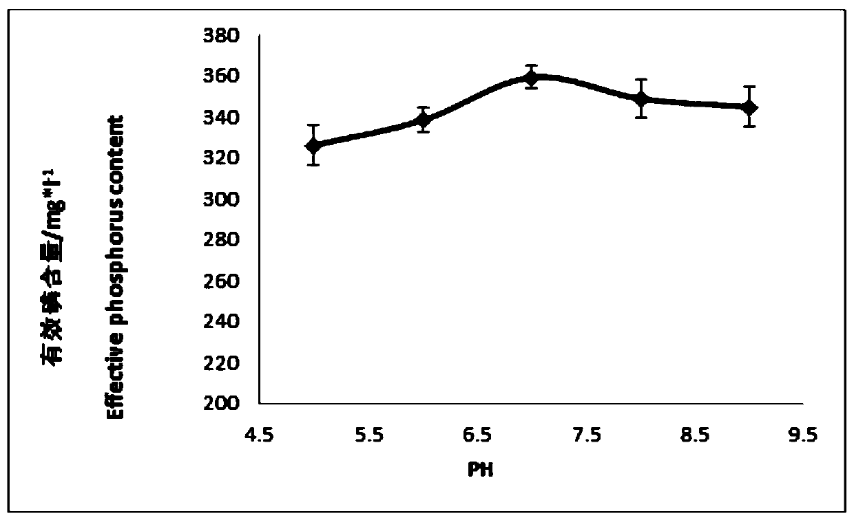 Phosphate solubilizing bacterium and extraction method thereof