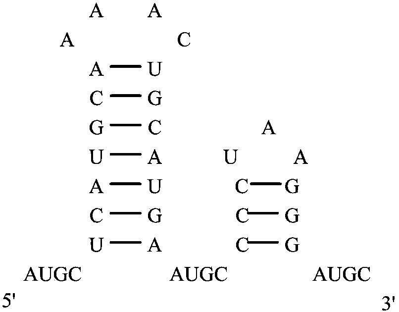 Method for Expression of RNA Secondary Structure Sequence Similarity Based on Cross-correlation Coefficient