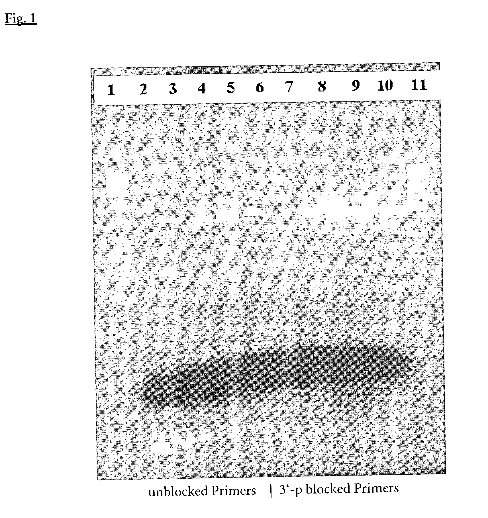 Composition and method for hot start nucleic acid amplification