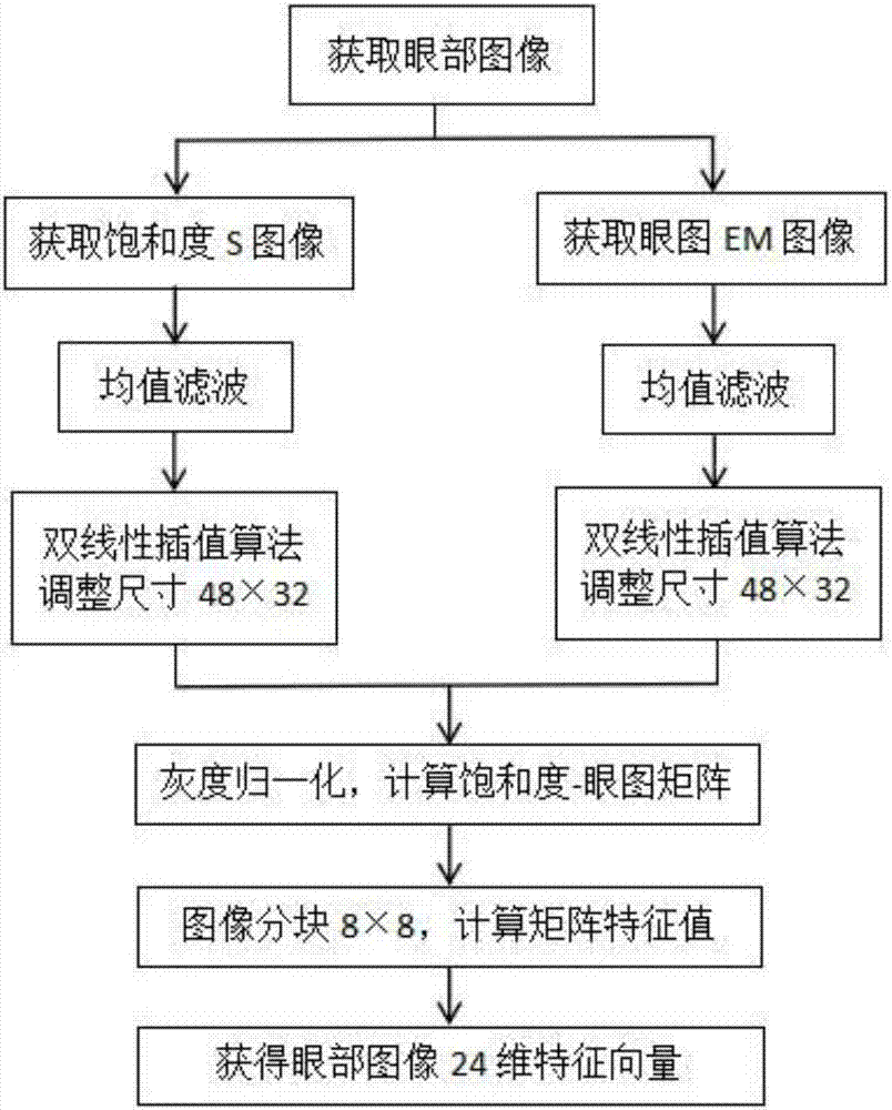 Fatigue state detection method based on sub-block characteristic matrix algorithm and SVM (support vector machine)