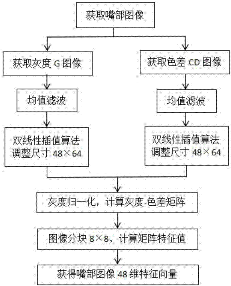 Fatigue state detection method based on sub-block characteristic matrix algorithm and SVM (support vector machine)