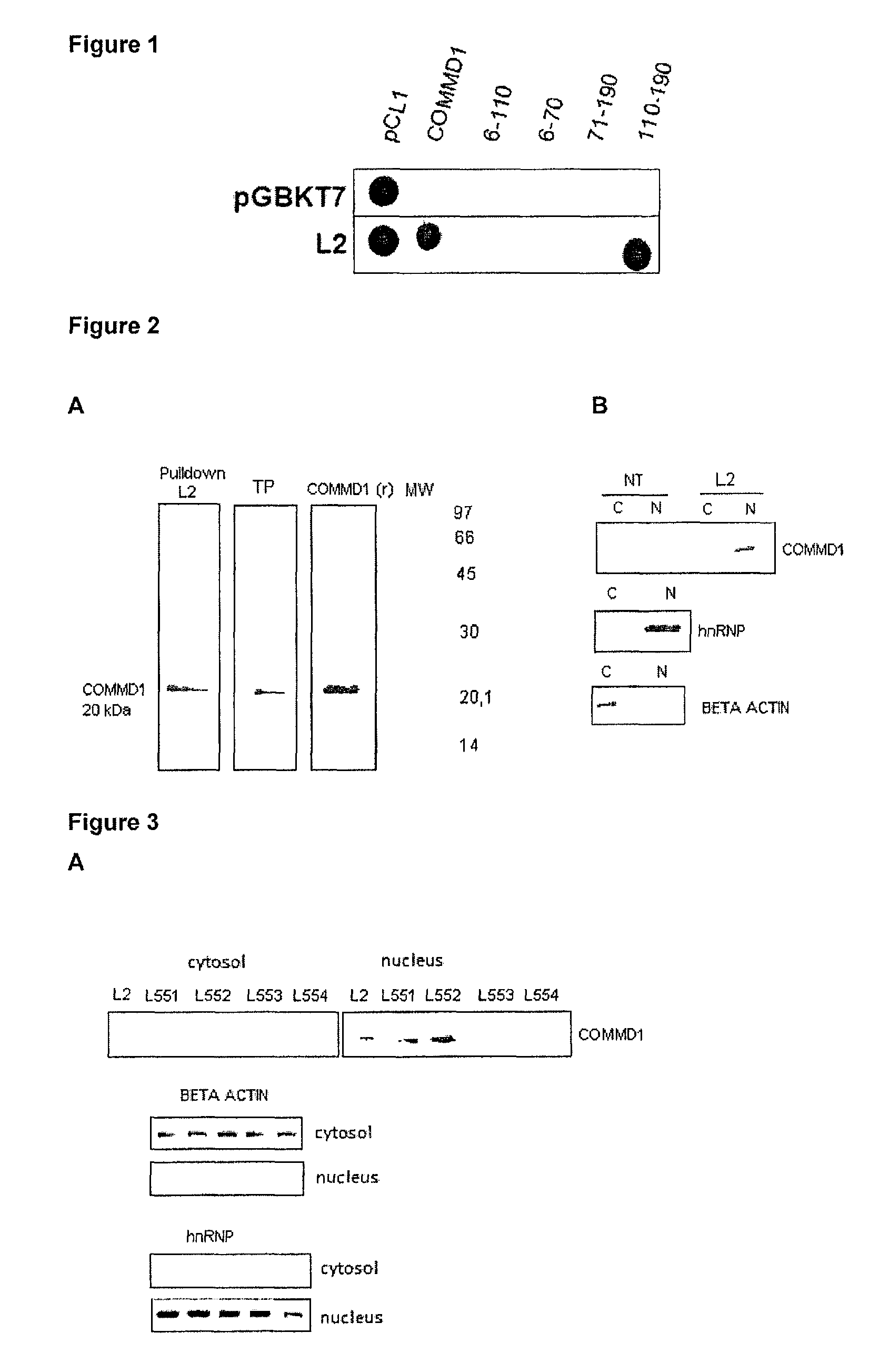 Cancer therapy method