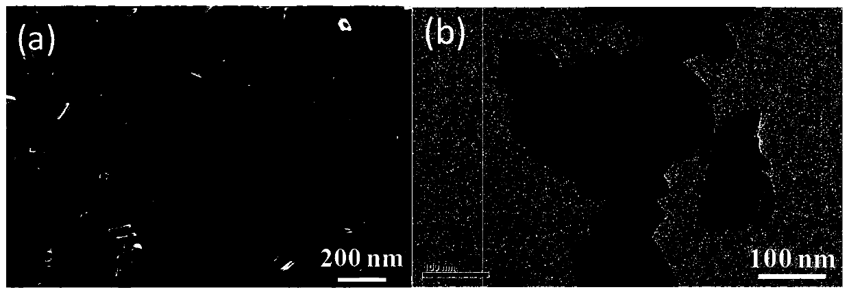 Method for promoting efficient photo-catalytic oxidation of phenolic pollutants by organic arsenic pollutants in situ