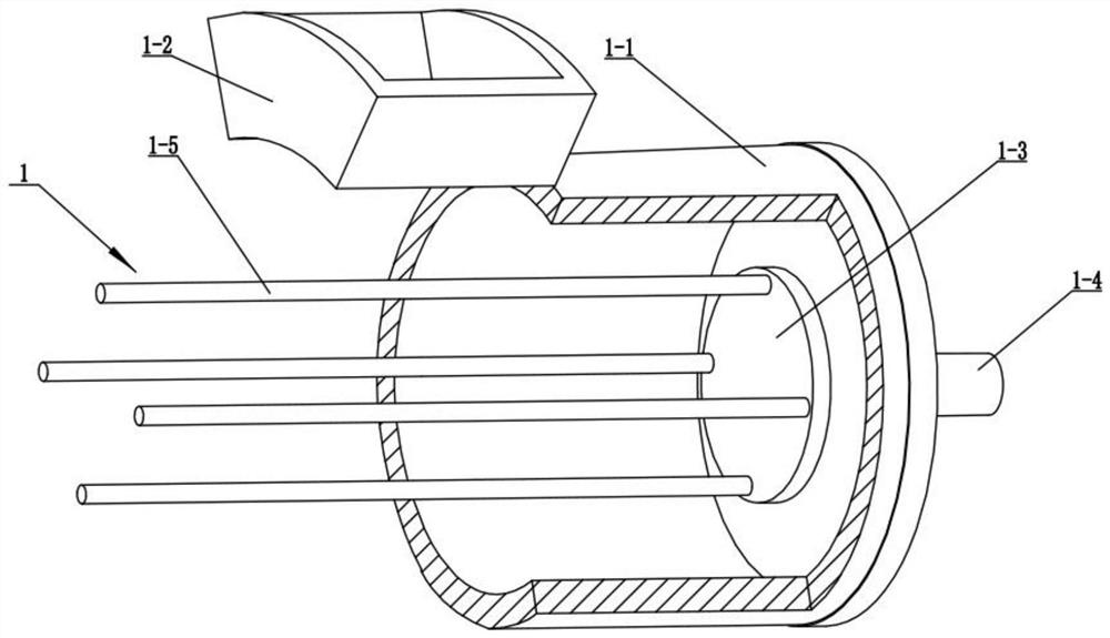 Pig feed and preparation process thereof