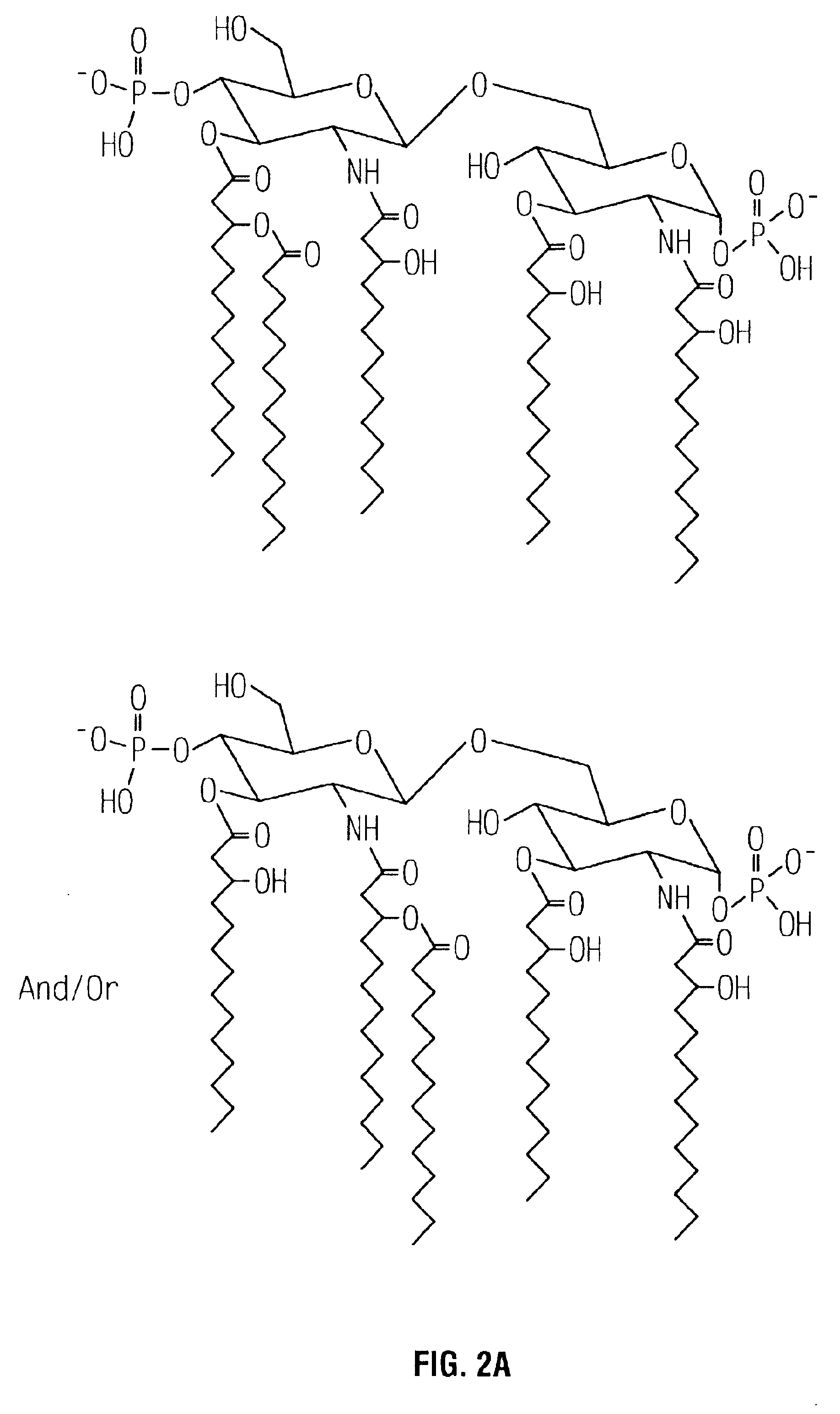 Non-toxic mutants of pathogenic gram-negative bacteria