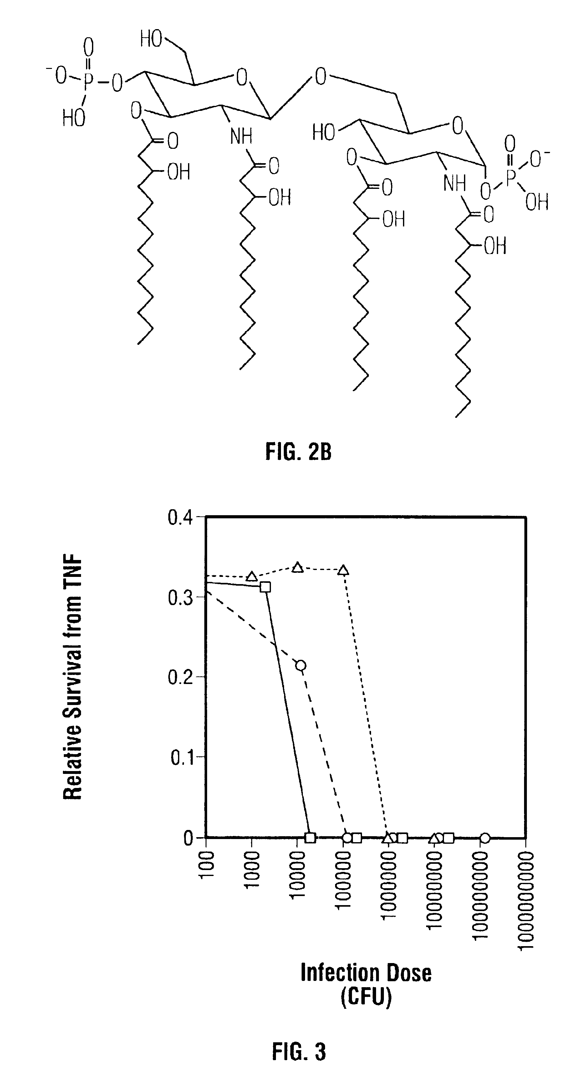 Non-toxic mutants of pathogenic gram-negative bacteria