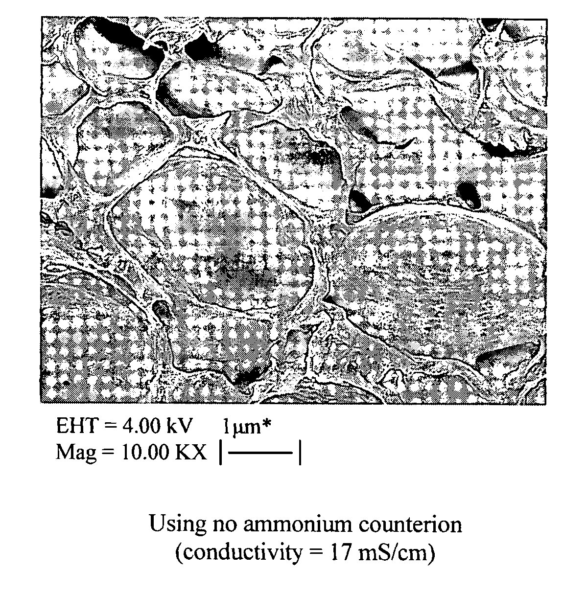 Multi-layer polyelectrolyte membrane