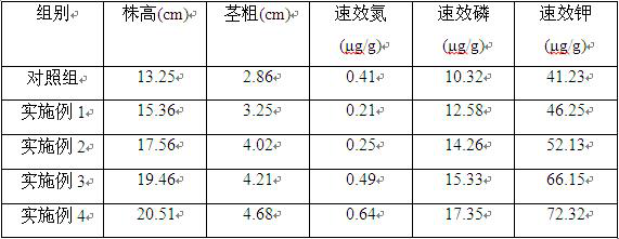 Rural sludge organic fertilizer and preparation method thereof