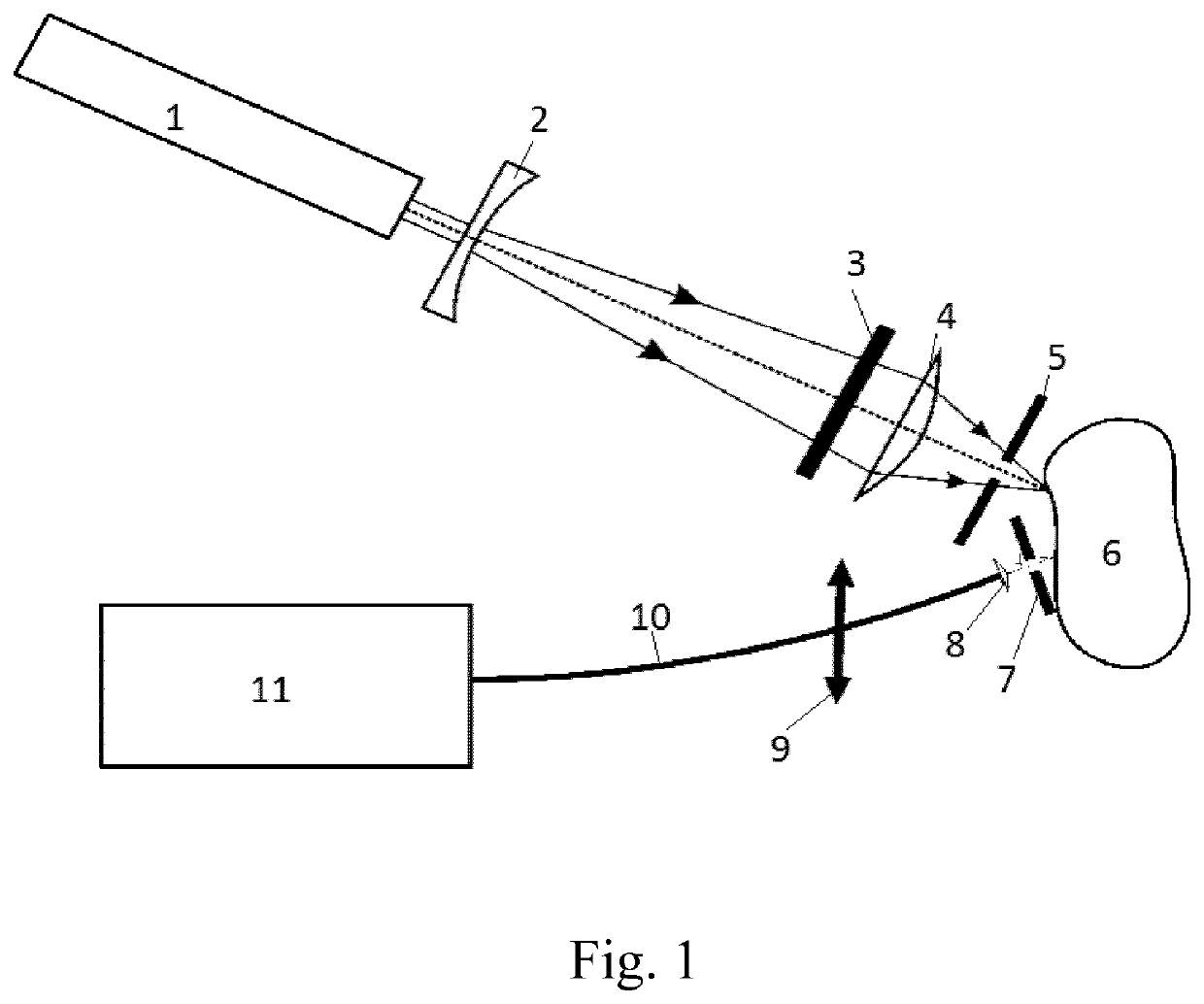 System and method for the detection of acrylamide precursors in raw potatoes and potato-based food products