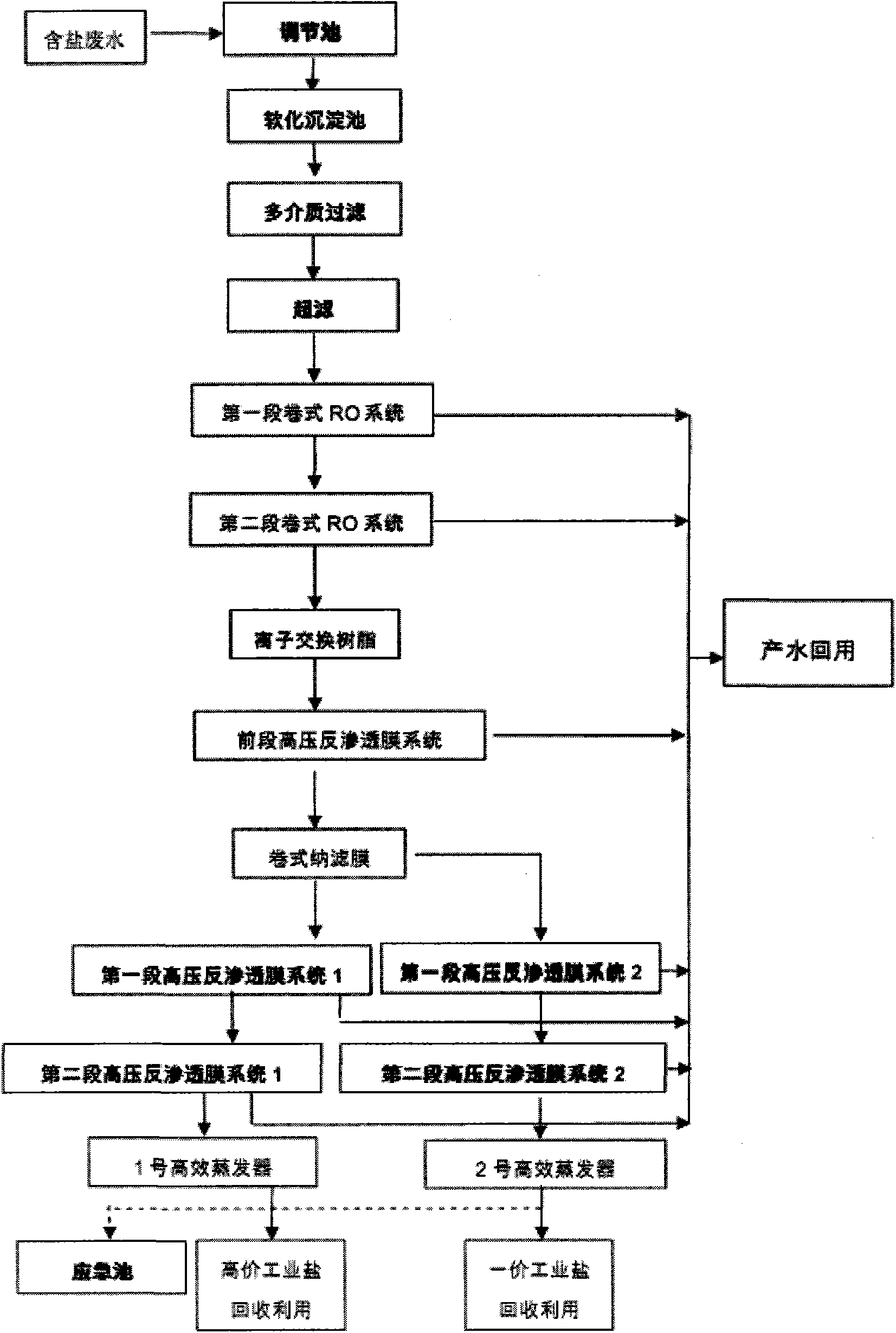 Processing apparatus and processing method for industrial park salt-containing wastewater