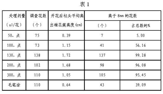 Method for producing cotton seeds by inducing long cotton stigmas