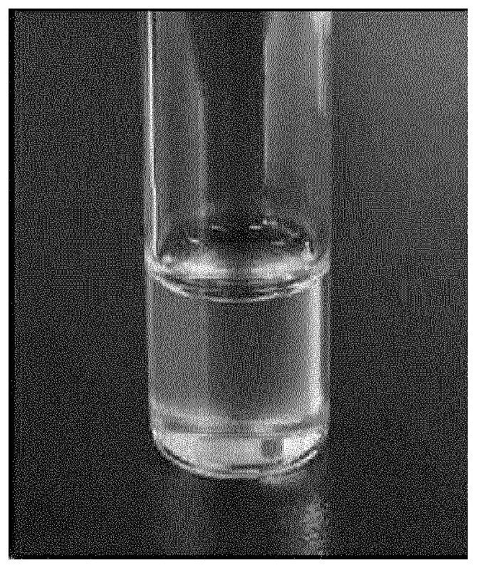 Pharmaceutical composition for oral administration in powder formulation containing antiviral agent