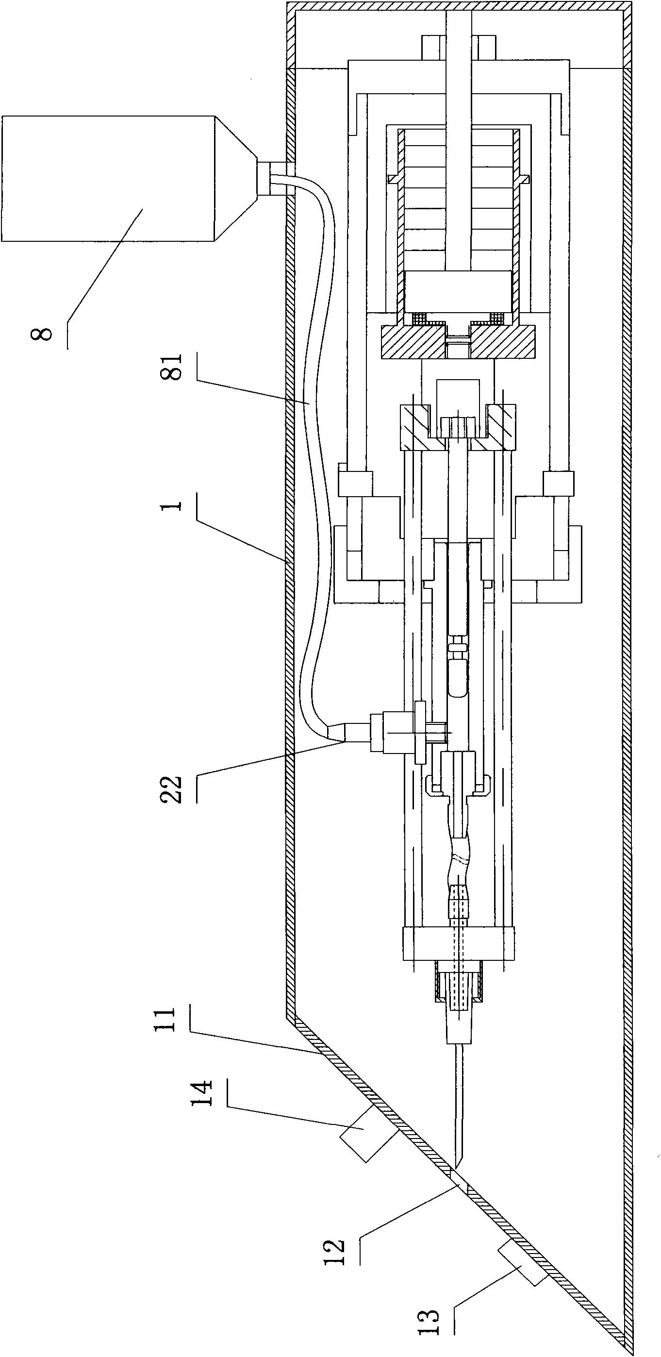 Device for automatic and continuous injection of poultry