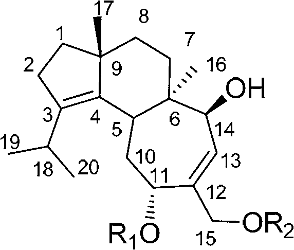 Application of cyathane diterpene compound in antitumor drug