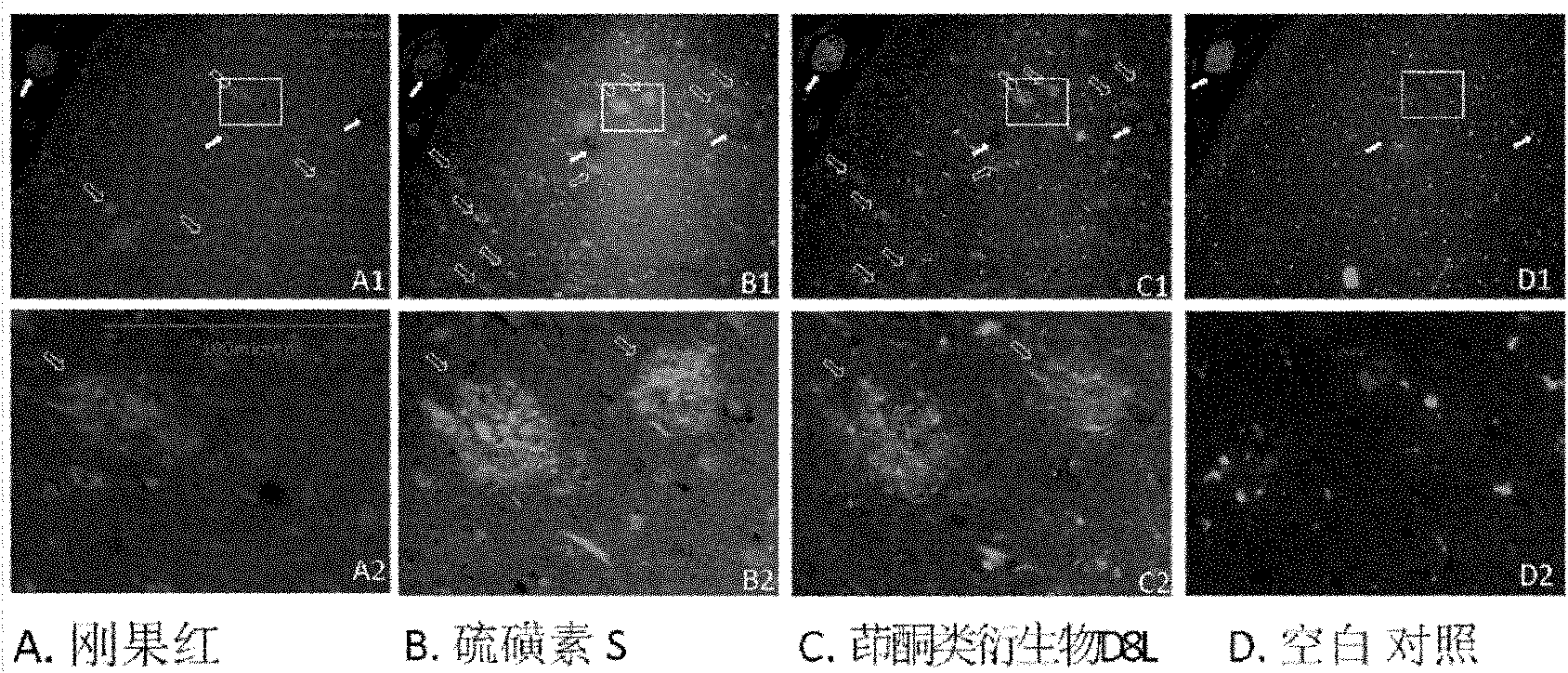 Indenone derivative and applications thereof as developing agent and aggregation inhibitor of amyloid protein deposit and neurofibrillary tangle