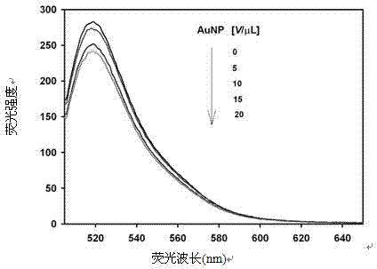 Lead ion fluorescent DNA (Deoxyribose Nucleic Acid) probe and fluorescent determination method for lead ion concentration