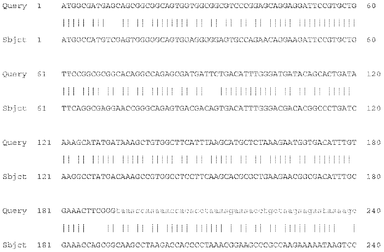 Compositions useful in treatment of spinal muscular atrophy