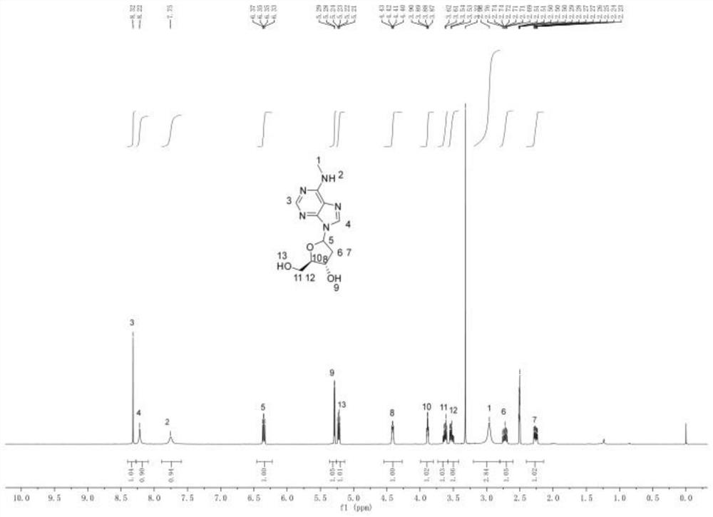 Nucleoside analogue as well as preparation method and application thereof