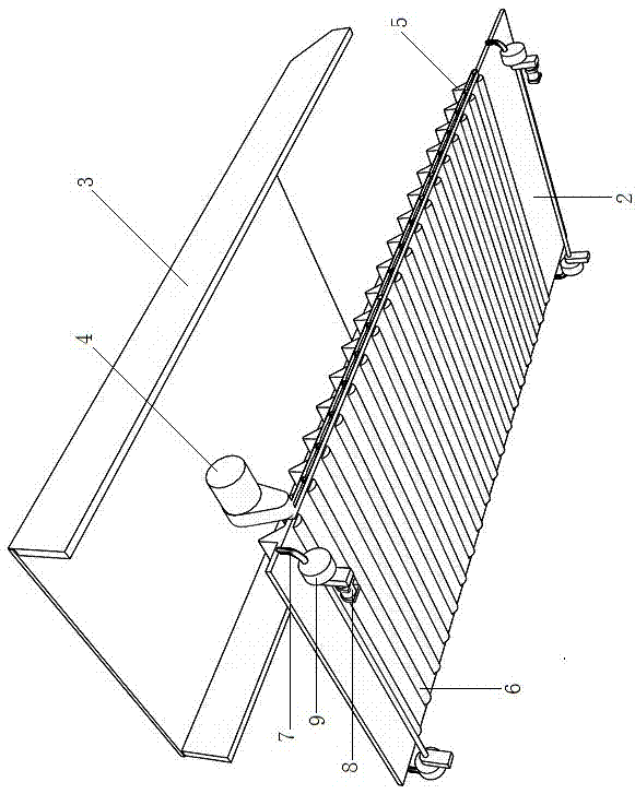 Shellfish washing apparatus