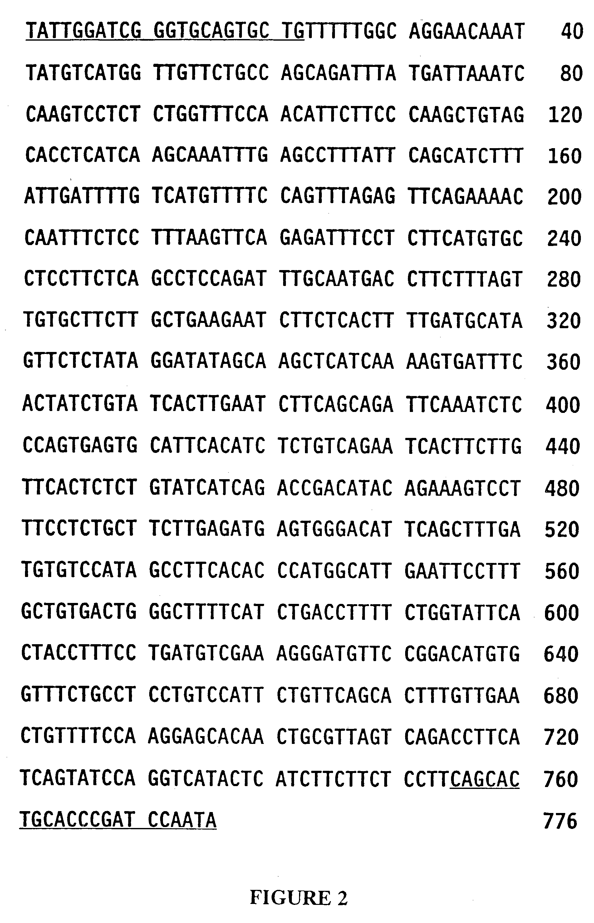 Plant retroviral polynucleotides and methods for use thereof