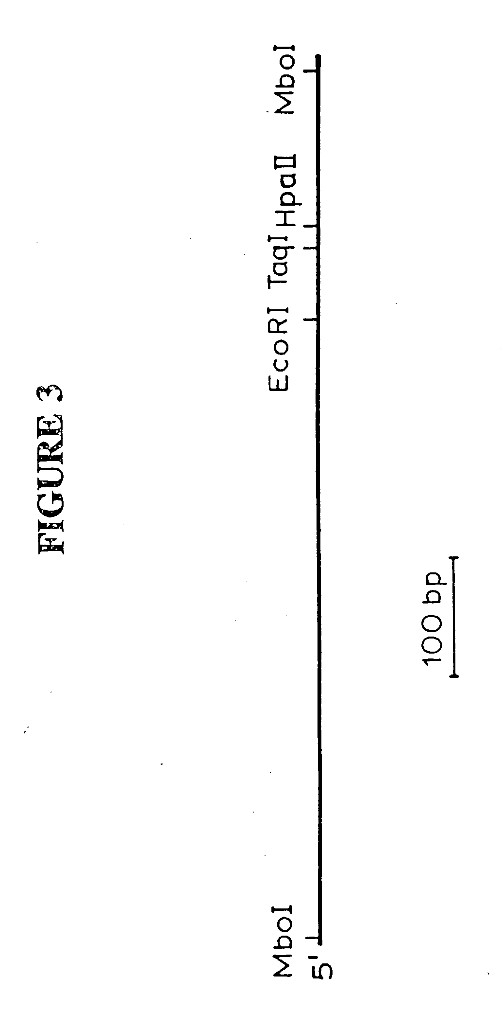 Plant retroviral polynucleotides and methods for use thereof