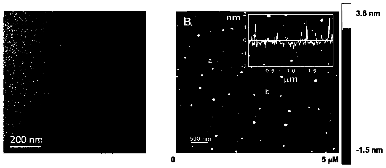 Method for sensitively detecting tannin acid in beer