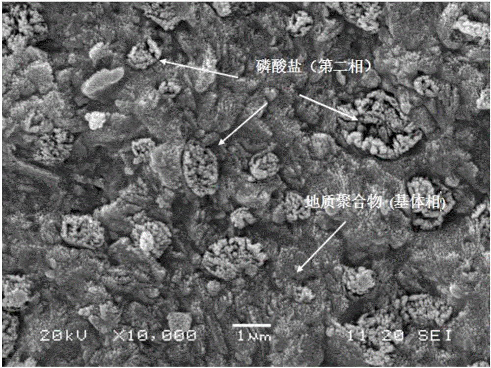 Enhanced geopolymer and preparation method thereof