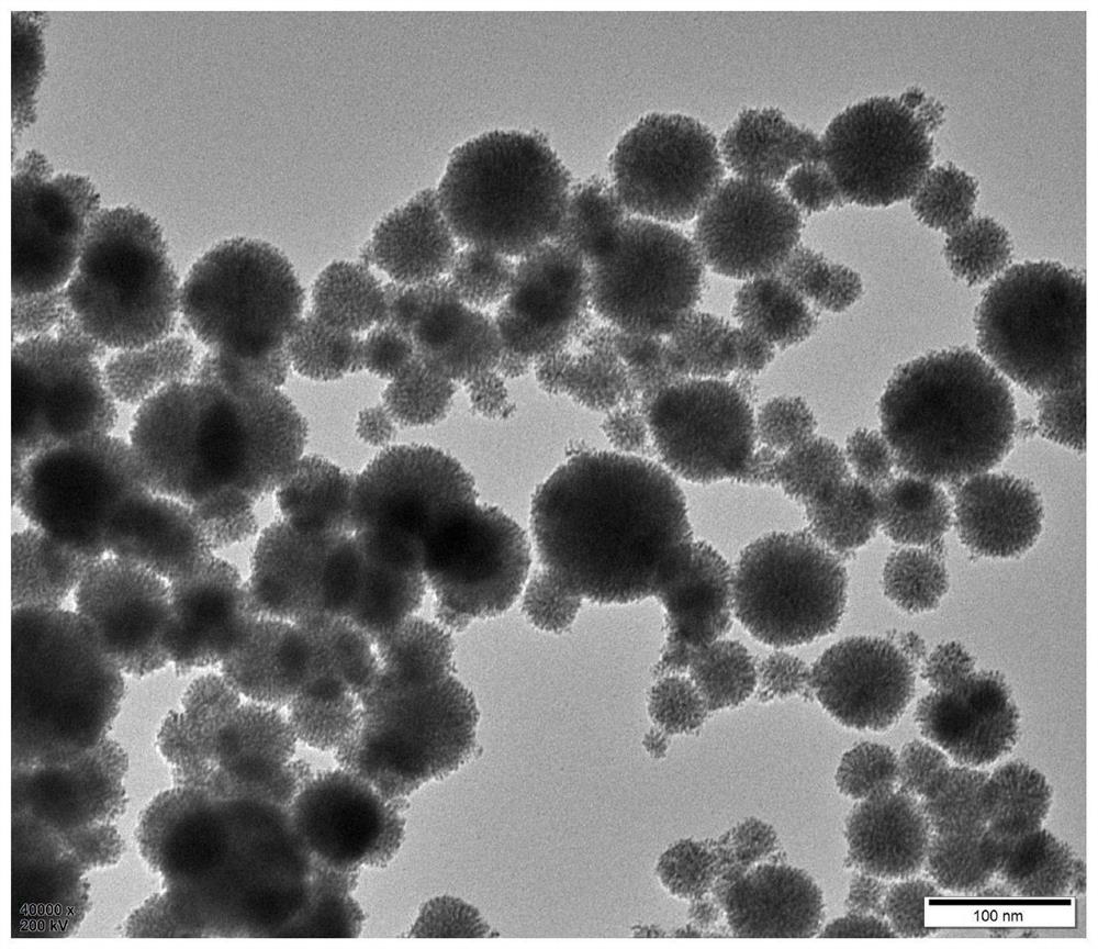 Porous platinum nano dendritic crystal electrocatalyst and preparation method thereof