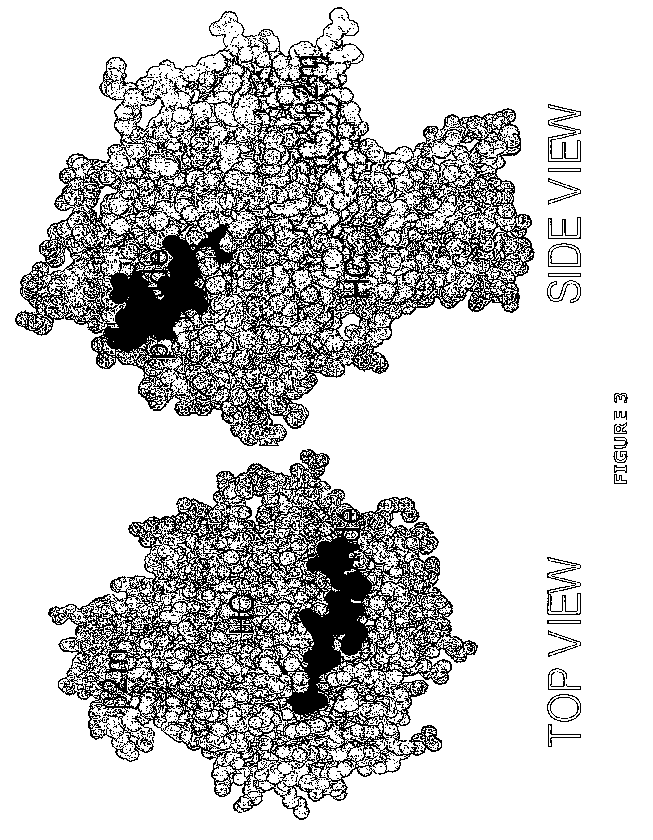 Methods for removing anti-MHC antibodies from a sample