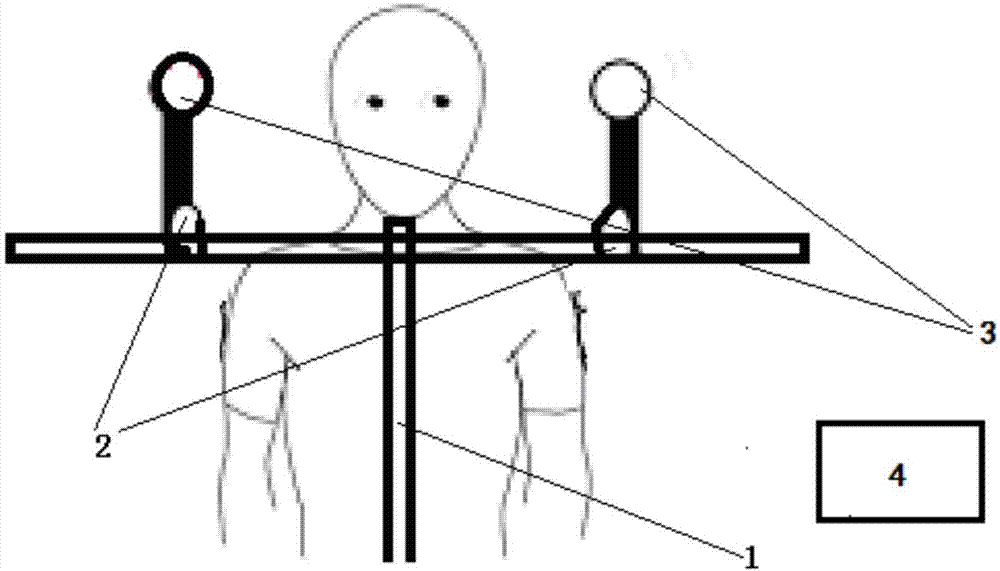 Visual perception evaluation system and method