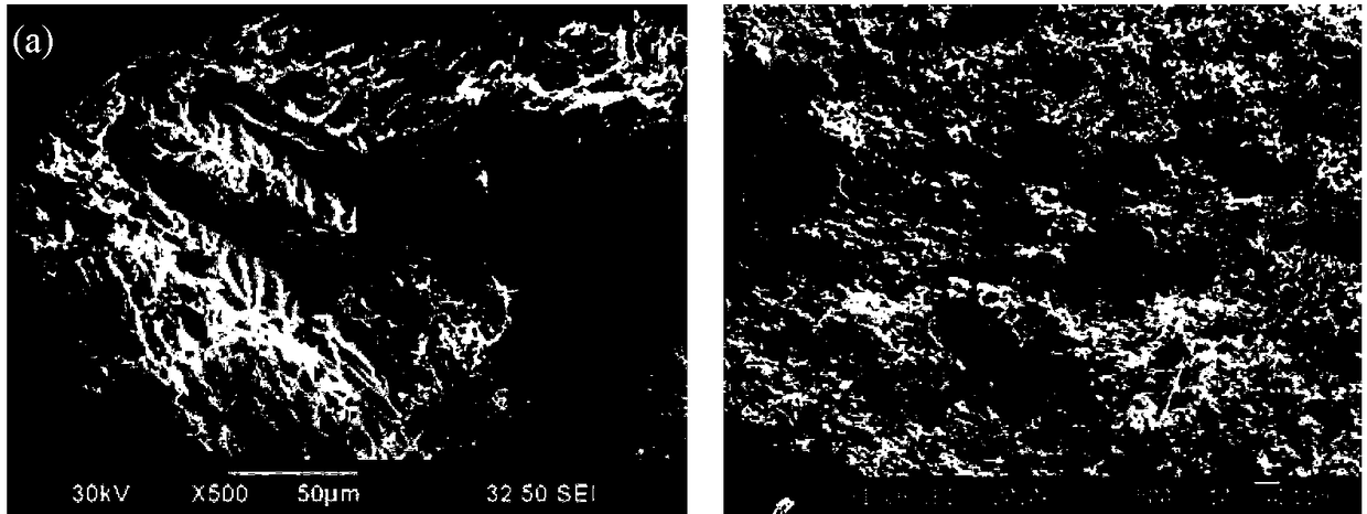 A preparation method of porous metal/ceramic composites with controllable morphology and properties