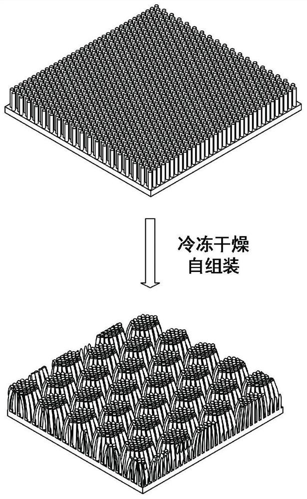 A self-assembly preparation method of a micro-nano multi-level column structure