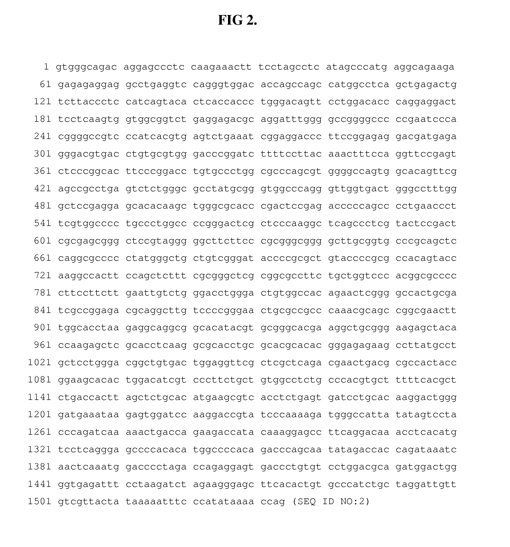 Compositions and methods for inhibiting expression of KLF-1 and BCL11a genes